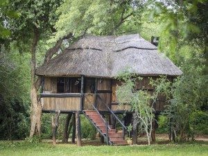 ©Ivory Lodge, Simbabwe; Kalahari – Afrika Spezial Safaris, Dresden