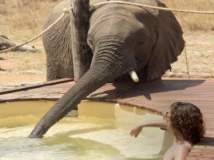 ©Khulu Ivory Lodge, Simbabwe; Kalahari – Afrika Spezial Safaris, Dresden